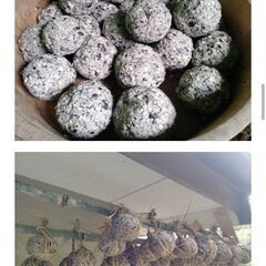 自給自足スクールの画像
