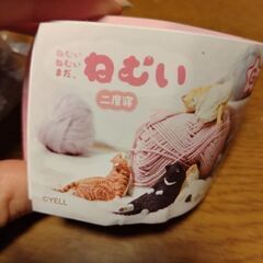 交換可★ねむい ねむい まだ、ねむい 二度寝 スコティッシュフォールドの画像