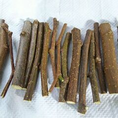 オーダーかじり木 桑の枝 約10cm 洗浄済 80本 ウサギ チンチラ デグー モルモット  小動物にの画像