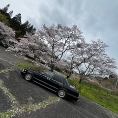 交換ありですY31グロリア ベンチシート VG30 6人乗り 1995年式の画像