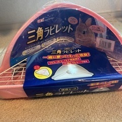 ウサギトイレ