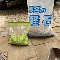 軽石　２種