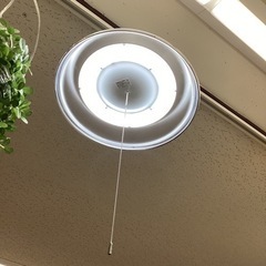 美原店　LED 電気　シーリング　NEC 家具 照明器具