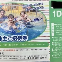 【3枚】サマーランド　１Dayパス　繁忙期も使えます