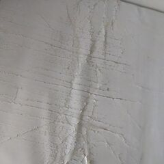 成約済み　￥0【無料】2人 白ソファー 要表皮交換 自然劣化が進んでます　富山市新庄にて引取限定の画像