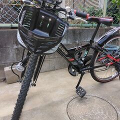 ブリジストン子供用自転車お譲りします【エキスプレスジュニア24インチ】