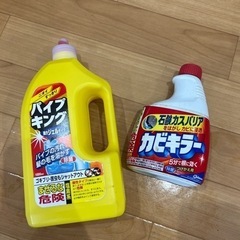 パイプユニッシュ　カビキラー