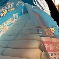 大人用紙オムツテープ式　Lサイズの画像