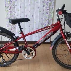 サイクルメーター付20インチ自転車の画像