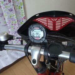 サイクルメーター付20インチ自転車の画像