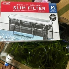 食品の画像