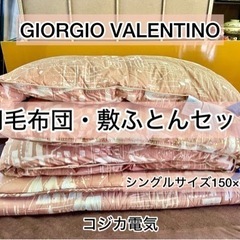 GIORGIO VALENTINO ジョルジオ バレンチノ 羽毛...