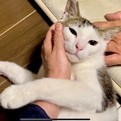 ゴロスリの懐っこい男の子