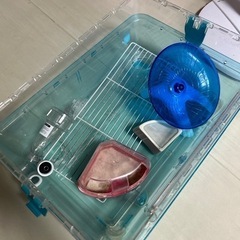 ハムスター ルーミィ