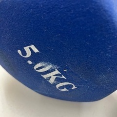 取引場所 南観音 A2406-092 5.0kg ダンベル2点セット バラ売り不可の画像
