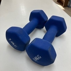 取引場所 南観音 A2406-092 5.0kg ダンベル2点セ...