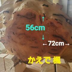 かえで 楓 一枚板