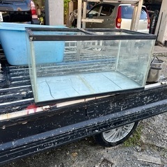 90センチ水槽　