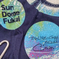 値下げ B'z B'z ライブグッズ　ライブＴシャツ 11着セット XL　直接引取割ありの画像