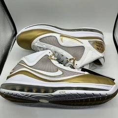 NIKE LEBRON VII QS CHINA MOON 27cm   の画像