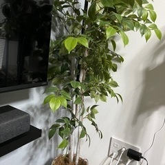生活雑貨 家庭用品 ガーデニング