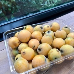 無農薬♫甘くて美味しい採れたて枇杷ビワの画像