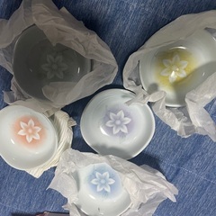 本物たち吉のてっせん小鉢カラフルセット