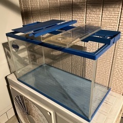 60センチ水槽の画像