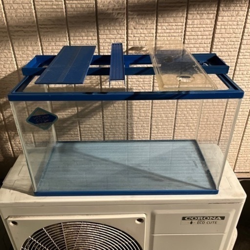 60センチ水槽