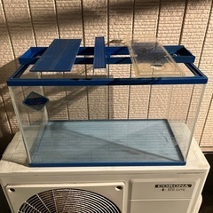60センチ水槽