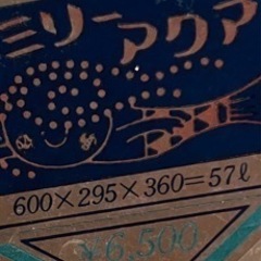 60センチ水槽の画像