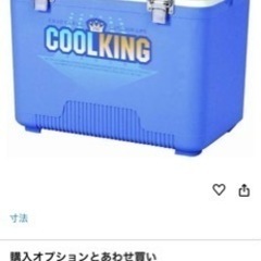 クーラーボックス18L(美品)の画像
