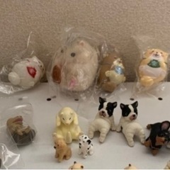 値下げ！アニマルガチャ