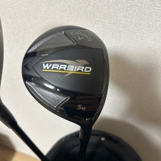 スポーツ ゴルフ