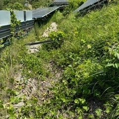 6月5日〜6月28日まで写真撮影して下さい。
