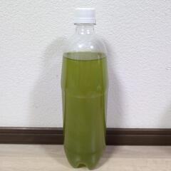 900mlのグリーンウォーター