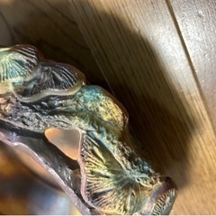 生活雑貨 食器 和皿の画像