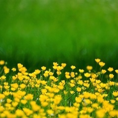 学べる！繋がれる！これからカウンセラーになりたい人のコミュニティ💛