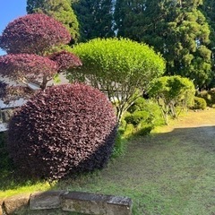 草刈り作業員募集