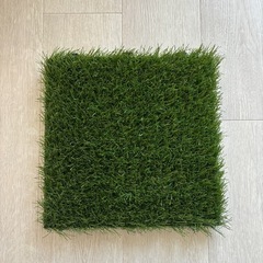 カインズ　リアル人工芝