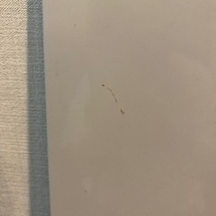 無印良品　スチールユニットシェルフ　追加棚　幅84cmタイプ用　グレーの画像