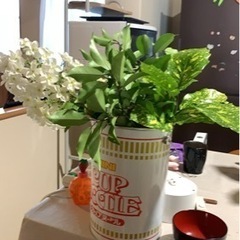花瓶を譲ってください