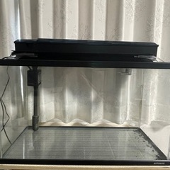 60㎝水槽　水槽台・ライト・上部フィルター付き★の画像