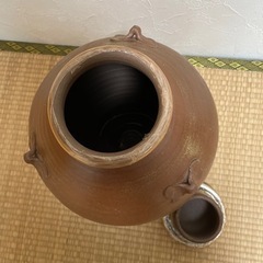 泡盛カメの画像