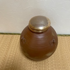 泡盛カメの画像