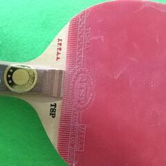 TSP 卓球ラケット 中古の画像