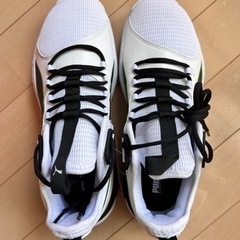 スポーツ テニス　バスケの画像