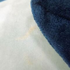 ☆さかな、イルカ ぬいぐるみセット【中古】の画像