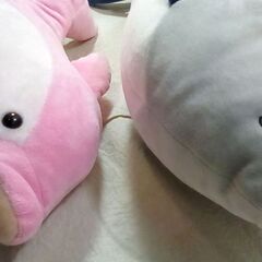 ☆さかな、イルカ ぬいぐるみセット【中古】の画像