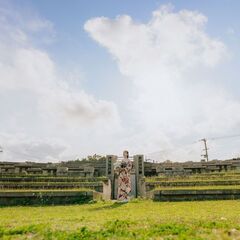 成人振袖撮影 承ります - 地元のお店